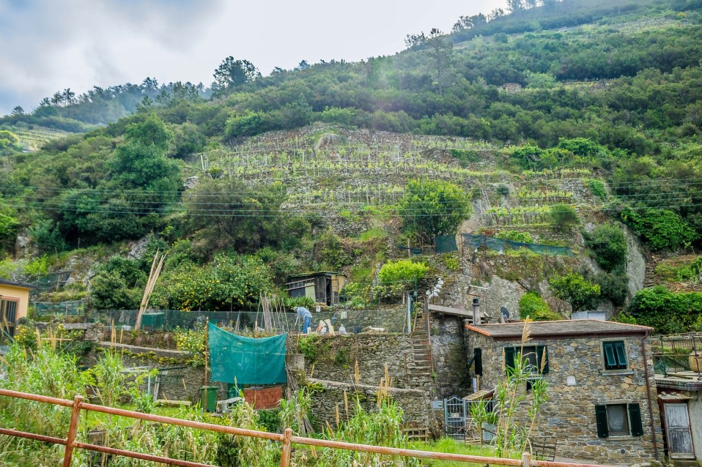 cinque-terre-334235_1280