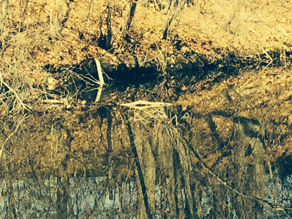 lightreflection